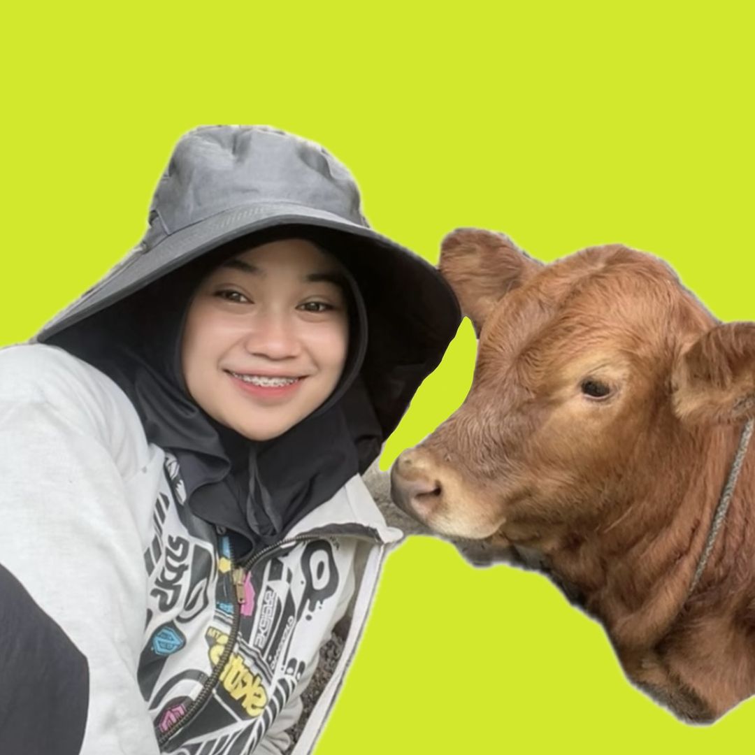 OCIK