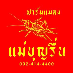 ฟาร์มแมลง แม่บุญรื่น