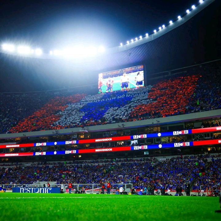 cruzazuldeporvida81