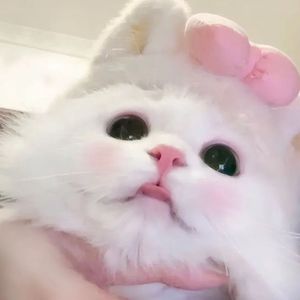 Hacimi
