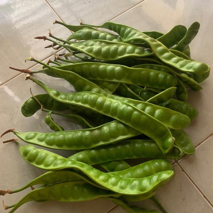 Hasil bumi muria