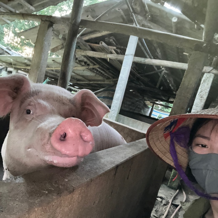 Bùi Phương Thảo