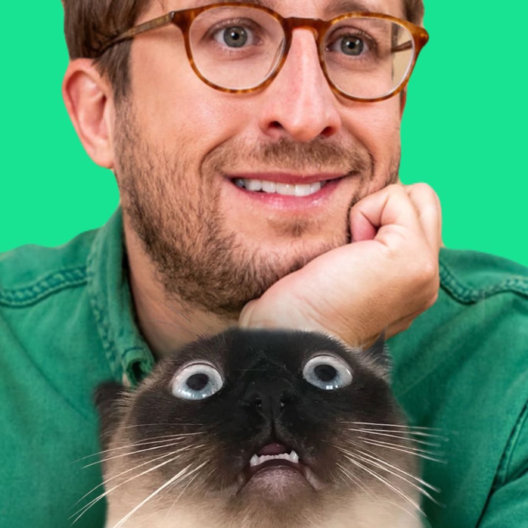 Merv The Cat | Chad Jamian