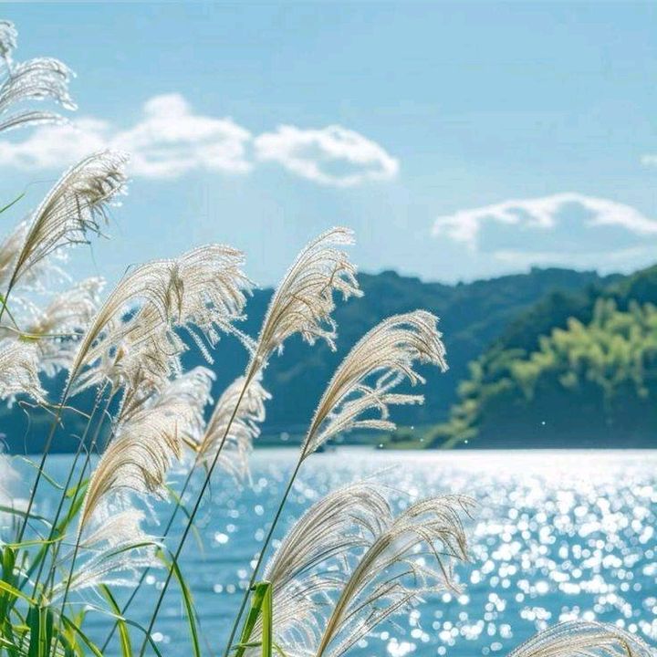 ủng hộ một đơn đi