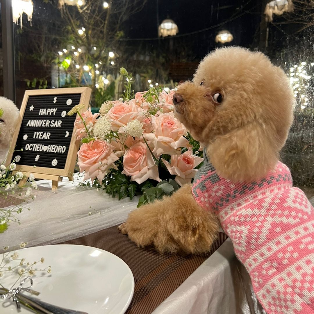 🤎Ốc Tiêu Hay Liếc 🤎