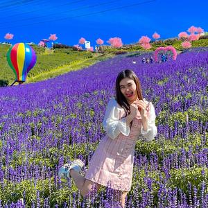 พัชชา 🪭PHATCHA 1.4 M 🪭