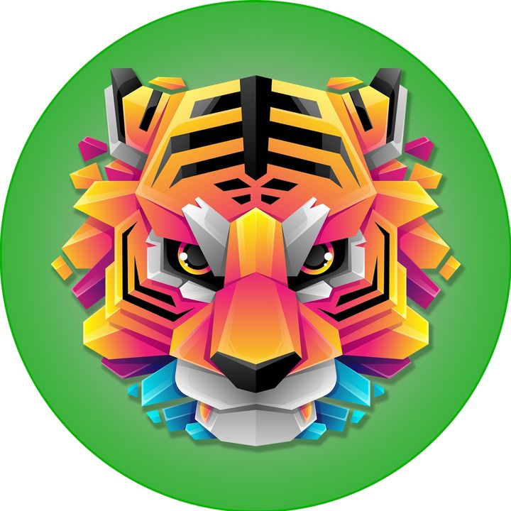 Tiger Hi-Tech Brasil