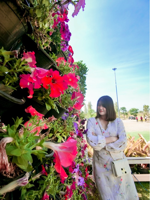 Live-cover-image.png