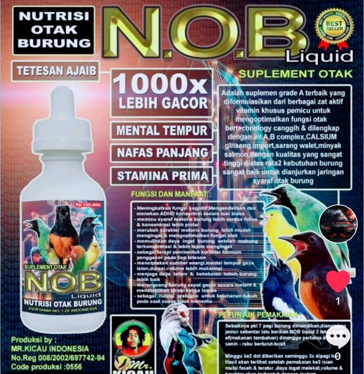 Live-cover-image.png