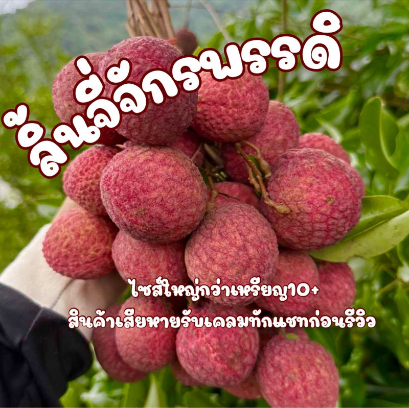 Live-cover-image.png