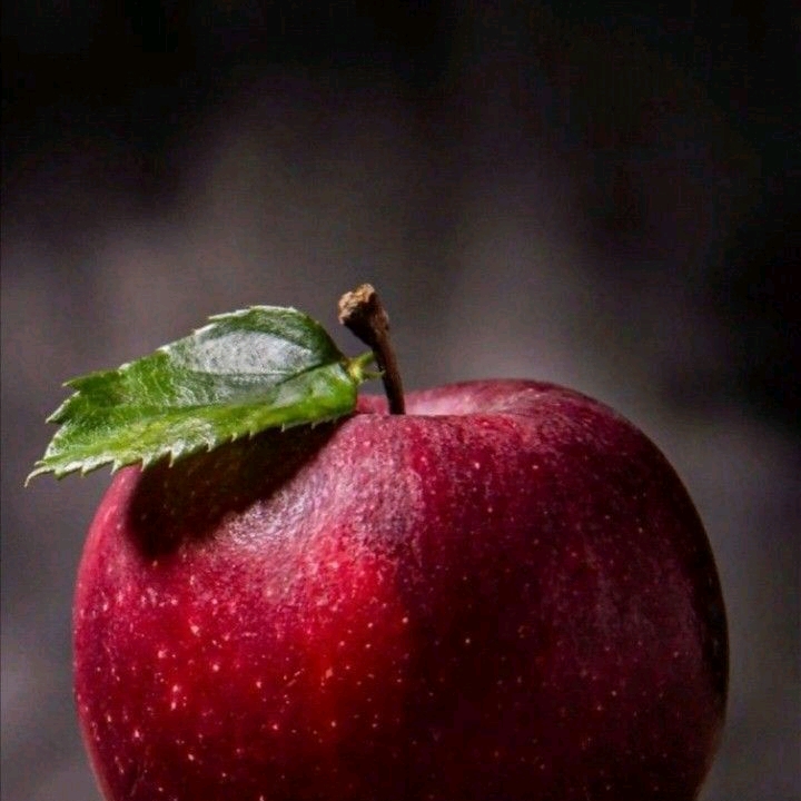 Live-cover-image.png