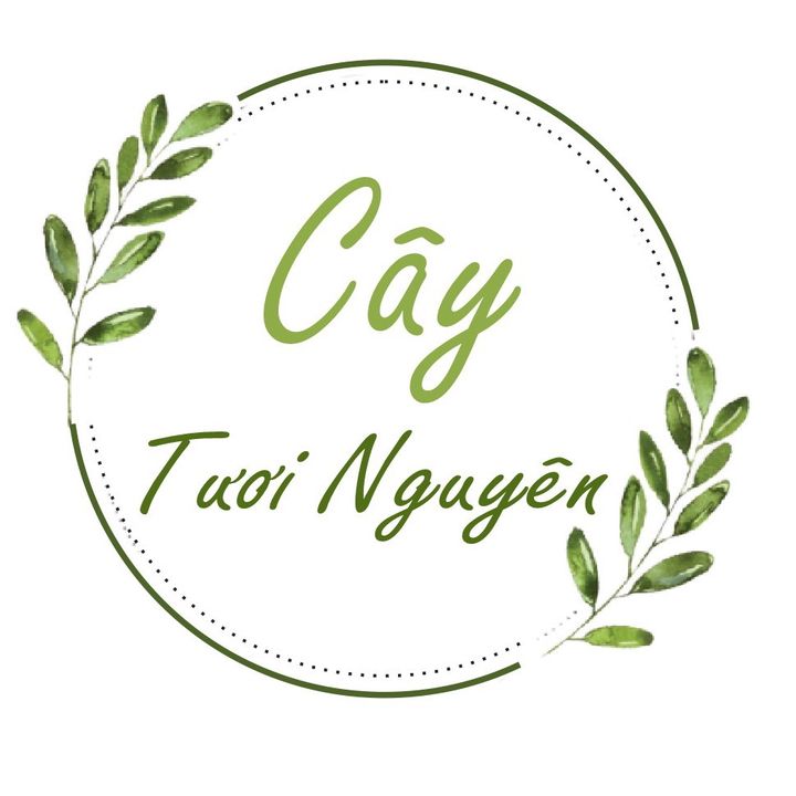 Live-cover-image.png