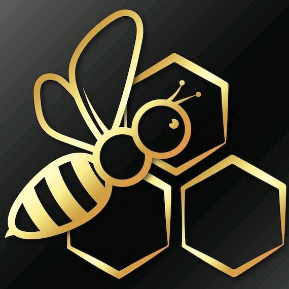 Live-cover-image.png
