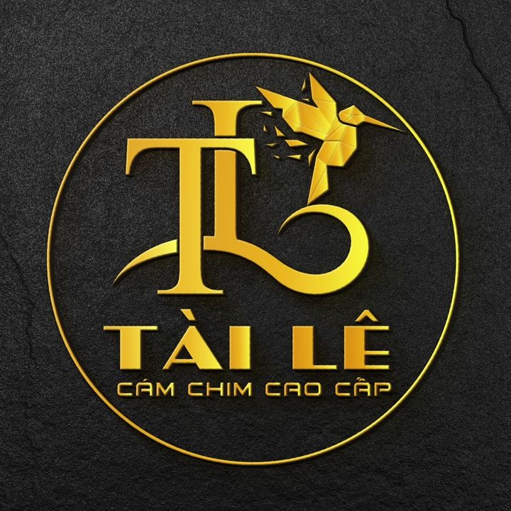 Live-cover-image.png
