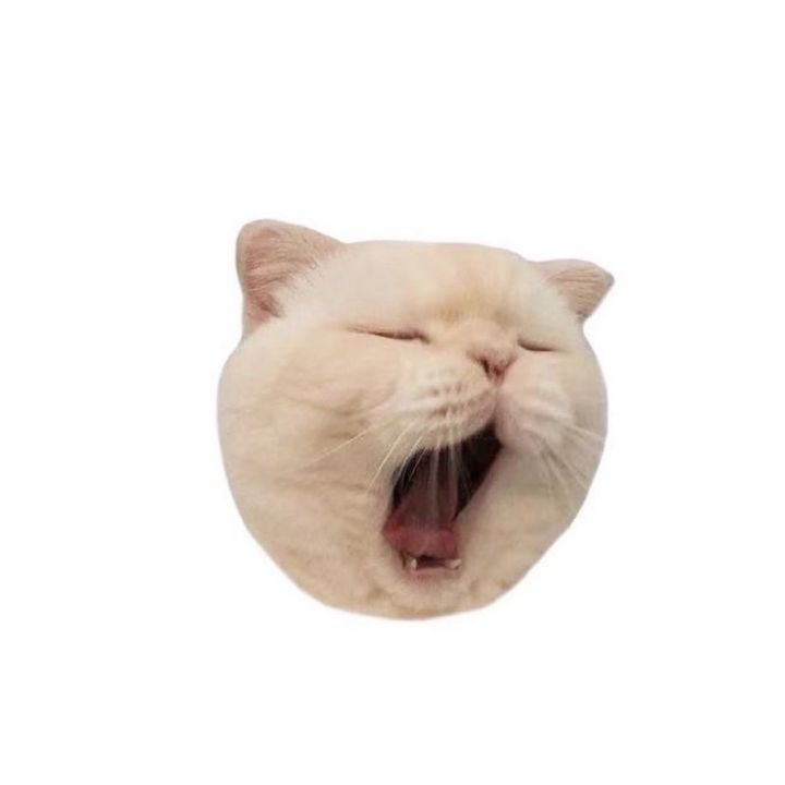 Live-cover-image.png