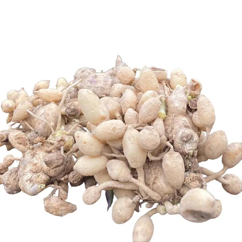 product-image.png