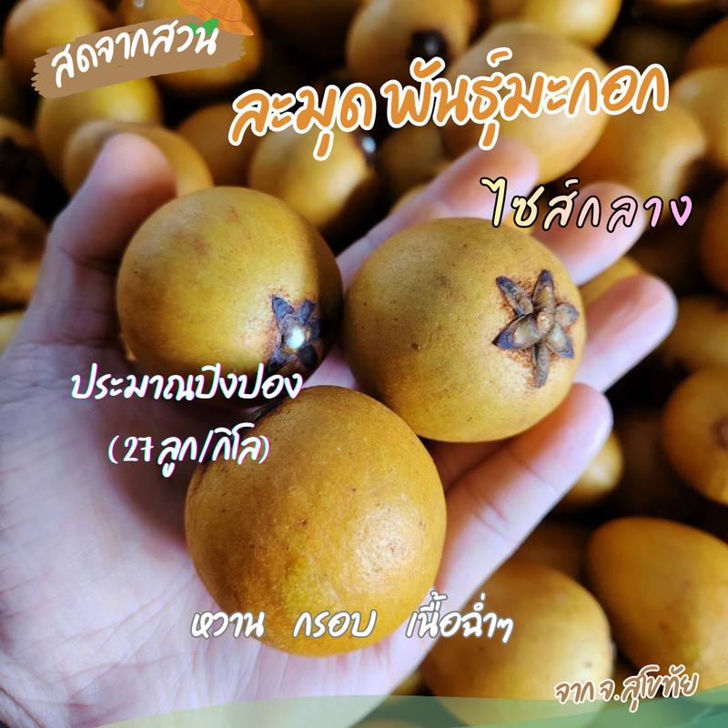 product-image.png