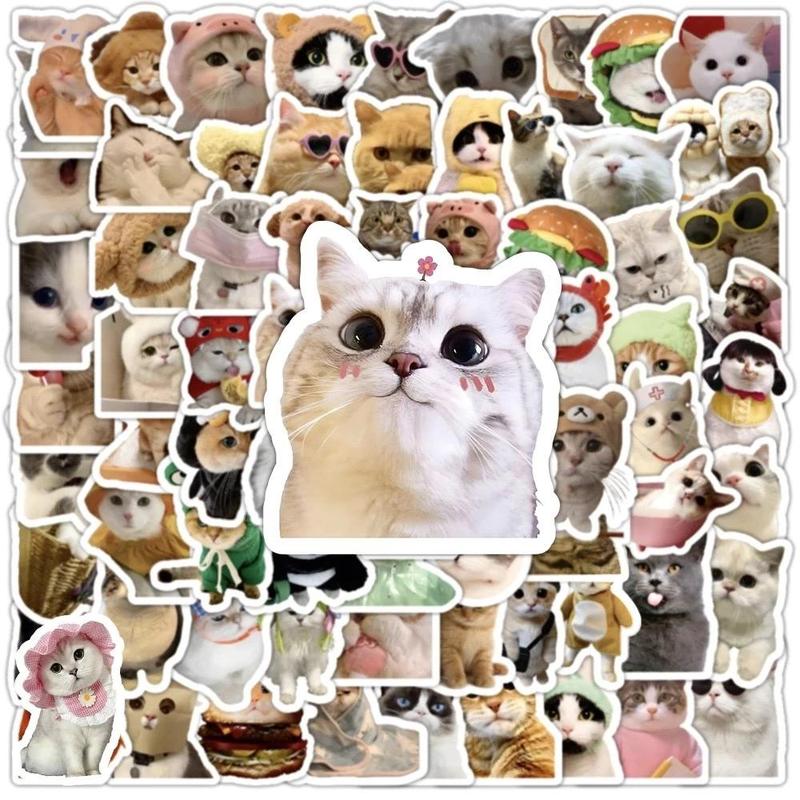 Sticker Cat. Random Random Sticker - Funny Cat Meme Sticker Pack For P TikTok爆款商品分析 - GMV ...