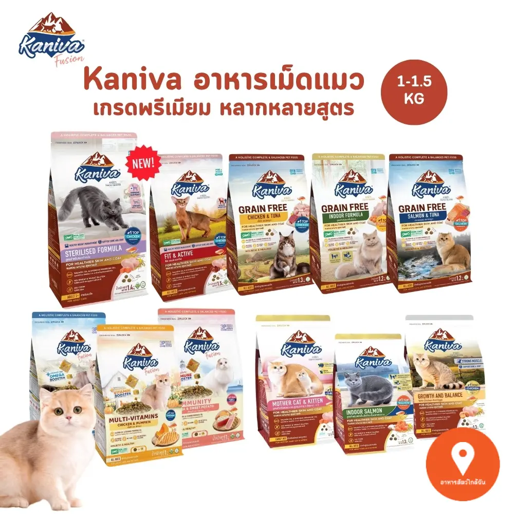 product-image.png
