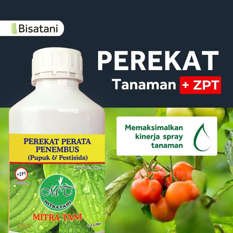 product-image.png