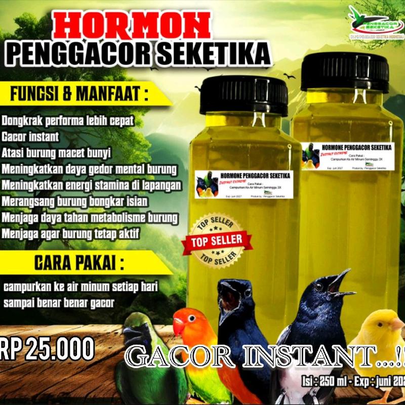product-image.png
