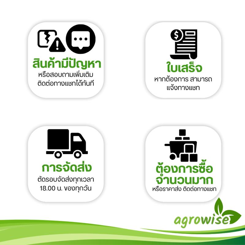 product-image.png