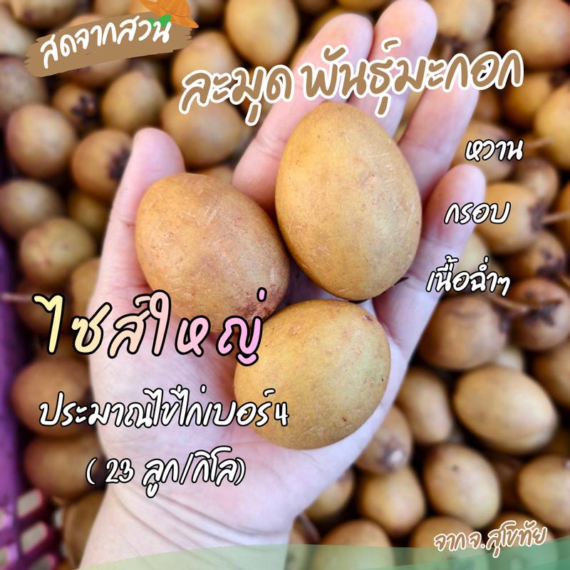 product-image.png