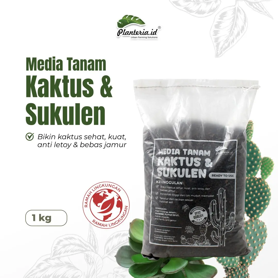 product-image.png