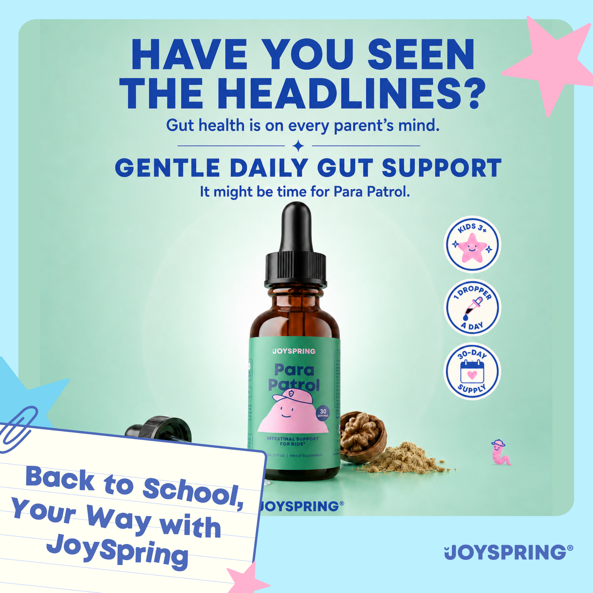 JoySpring Para Patrol Plant-Based Liquid Cleanse – Digestive Regularity Support for a Healthy Gut, Wellness Balance Supplement