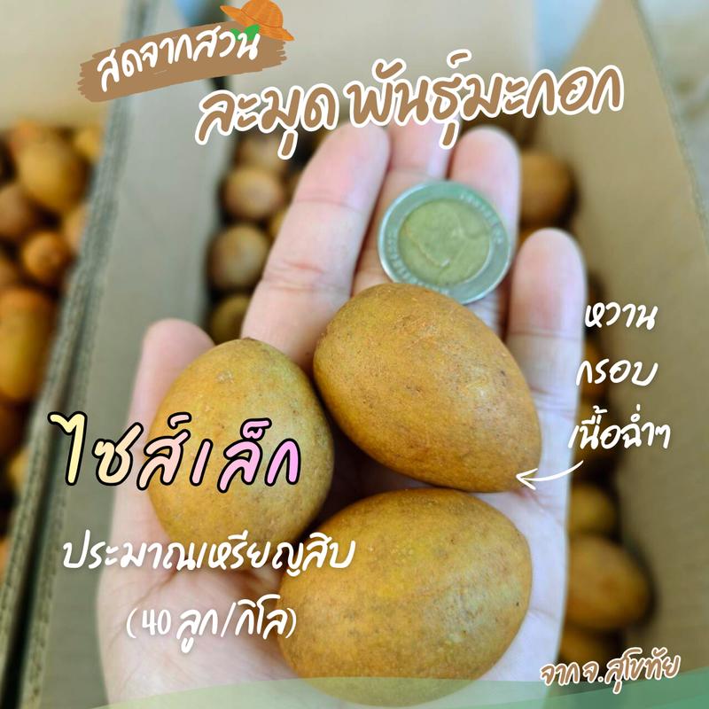 product-image.png