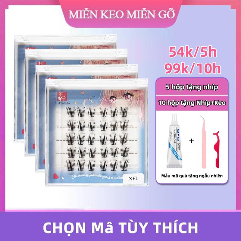 product-image.png