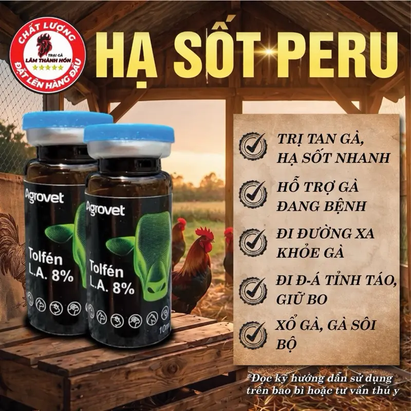 product-image.png
