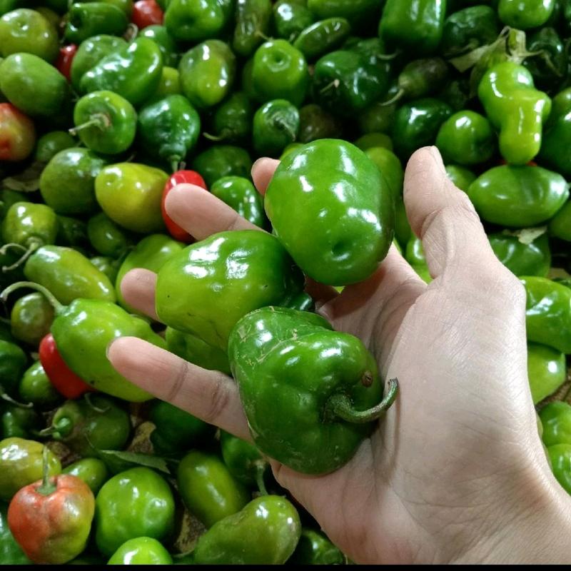 product-image.png
