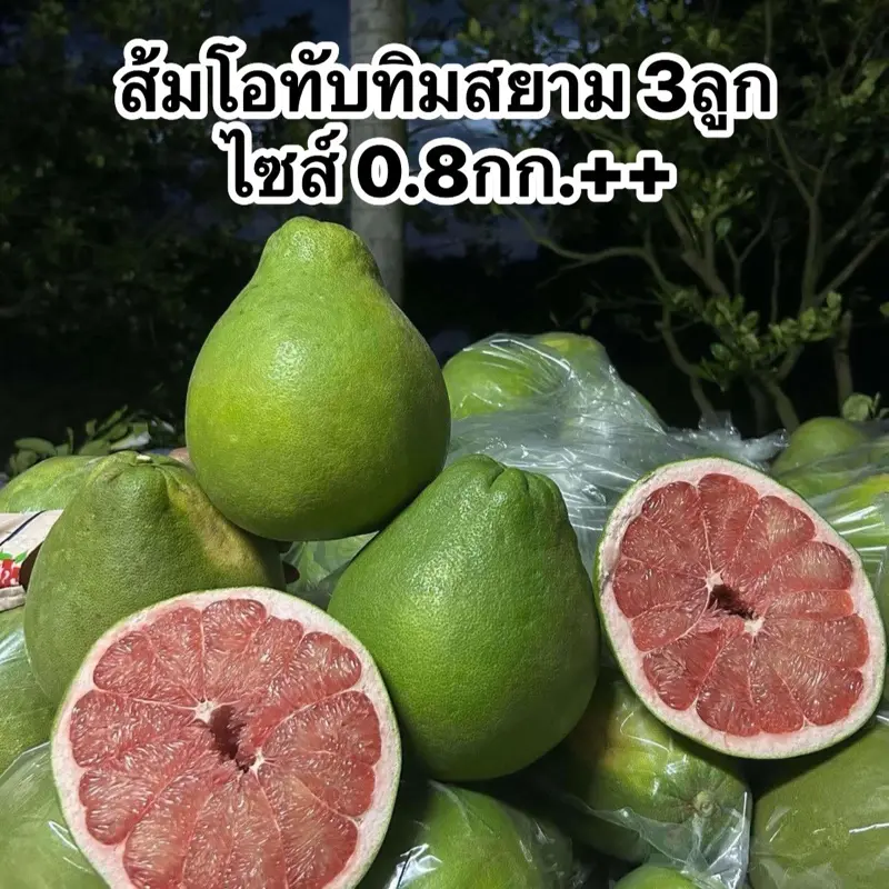 product-image.png