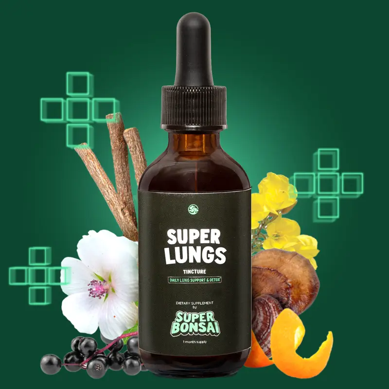 SuperBonsai Super Lungs - Natural Ingredients with Mullein and Elderberry - Daily Lungs Support and Detox / Cleanse - GMO Free, Gluten Free, Vegan