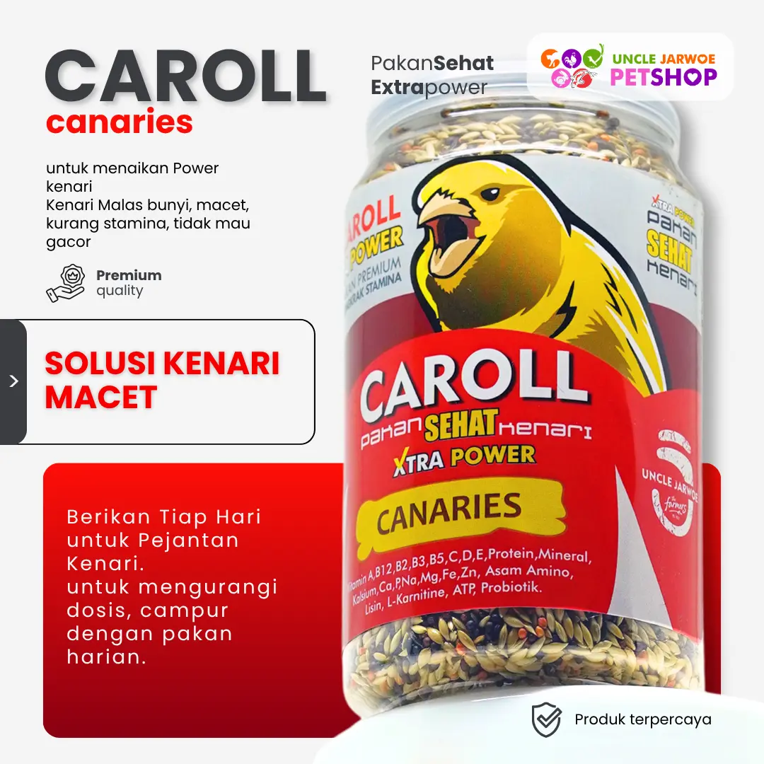 product-image.png