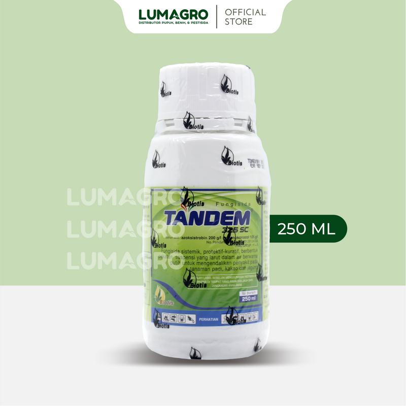 product-image.png