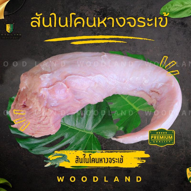product-image.png