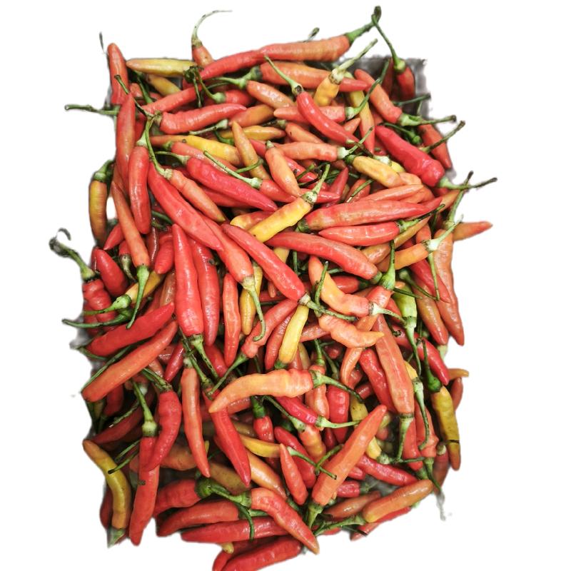 product-image.png