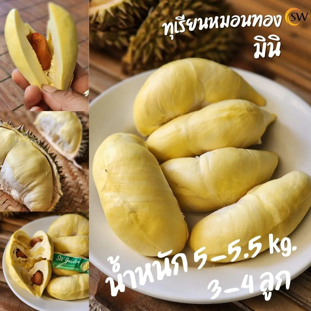 product-image.png