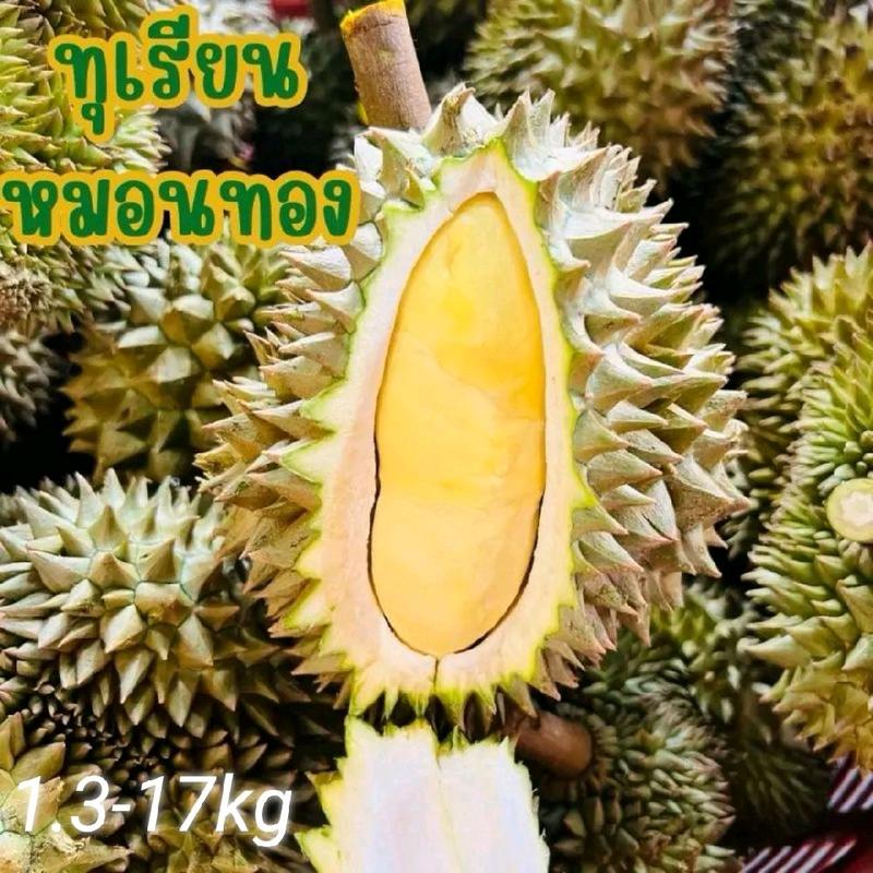 product-image.png