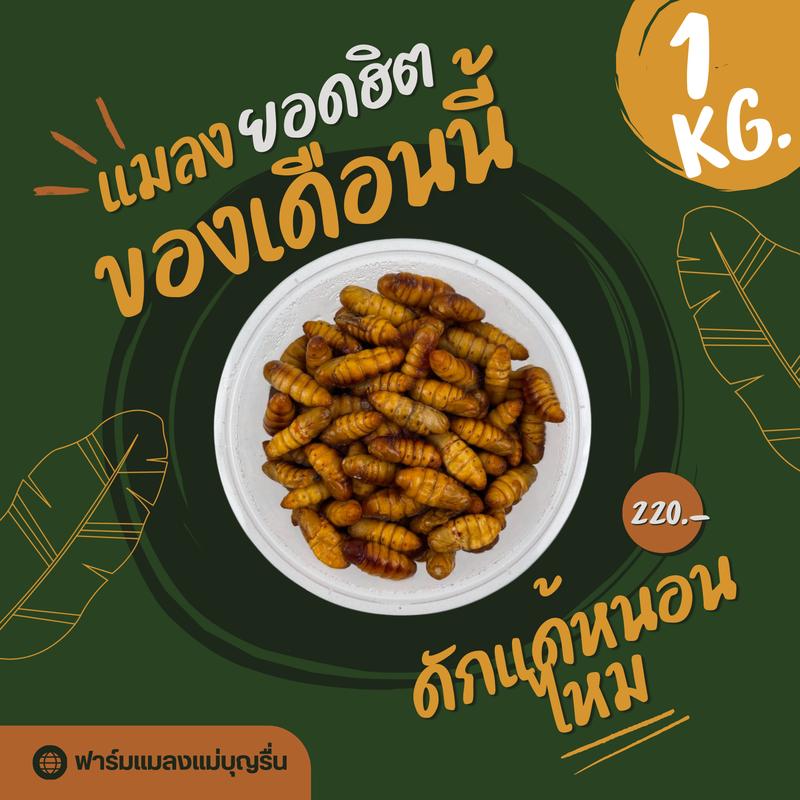 product-image.png