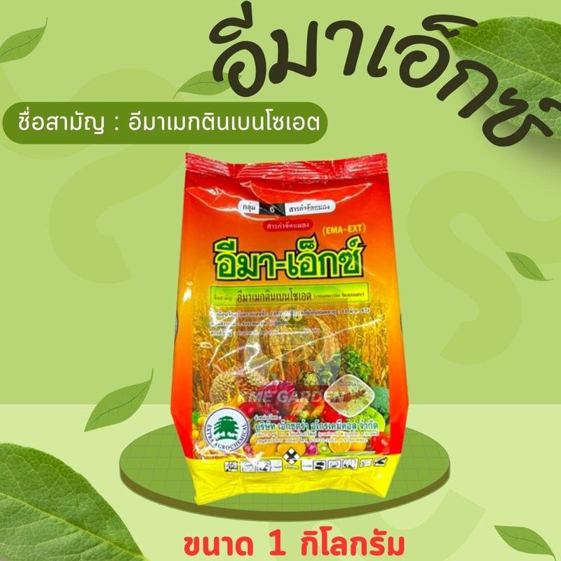 product-image.png