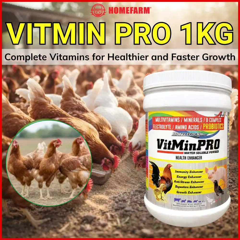 [NEW VERSION] VITMIN PRO Powder 1KG | Poultry & Li TikTok爆款商品分析 - GMV ...