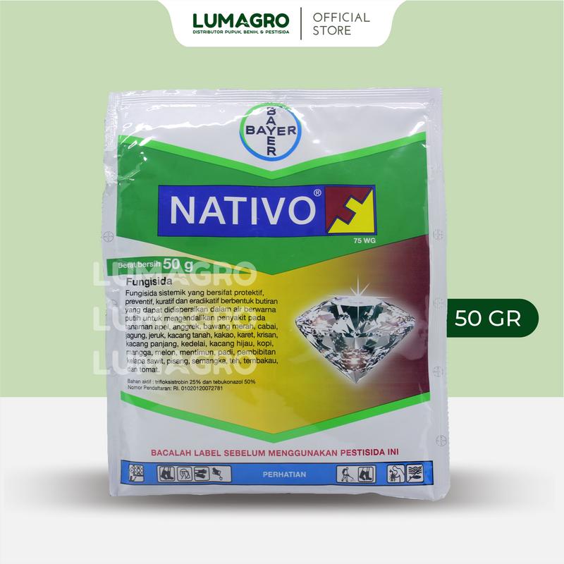 product-image.png