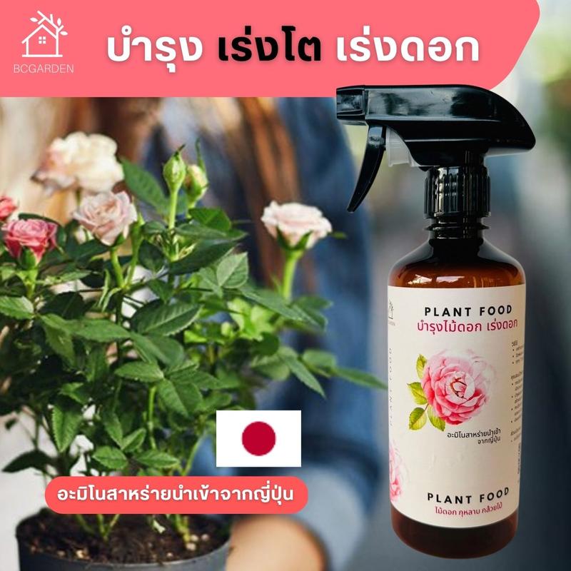 product-image.png