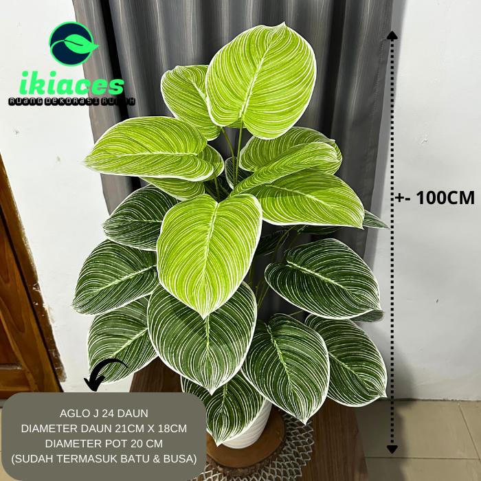 product-image.png