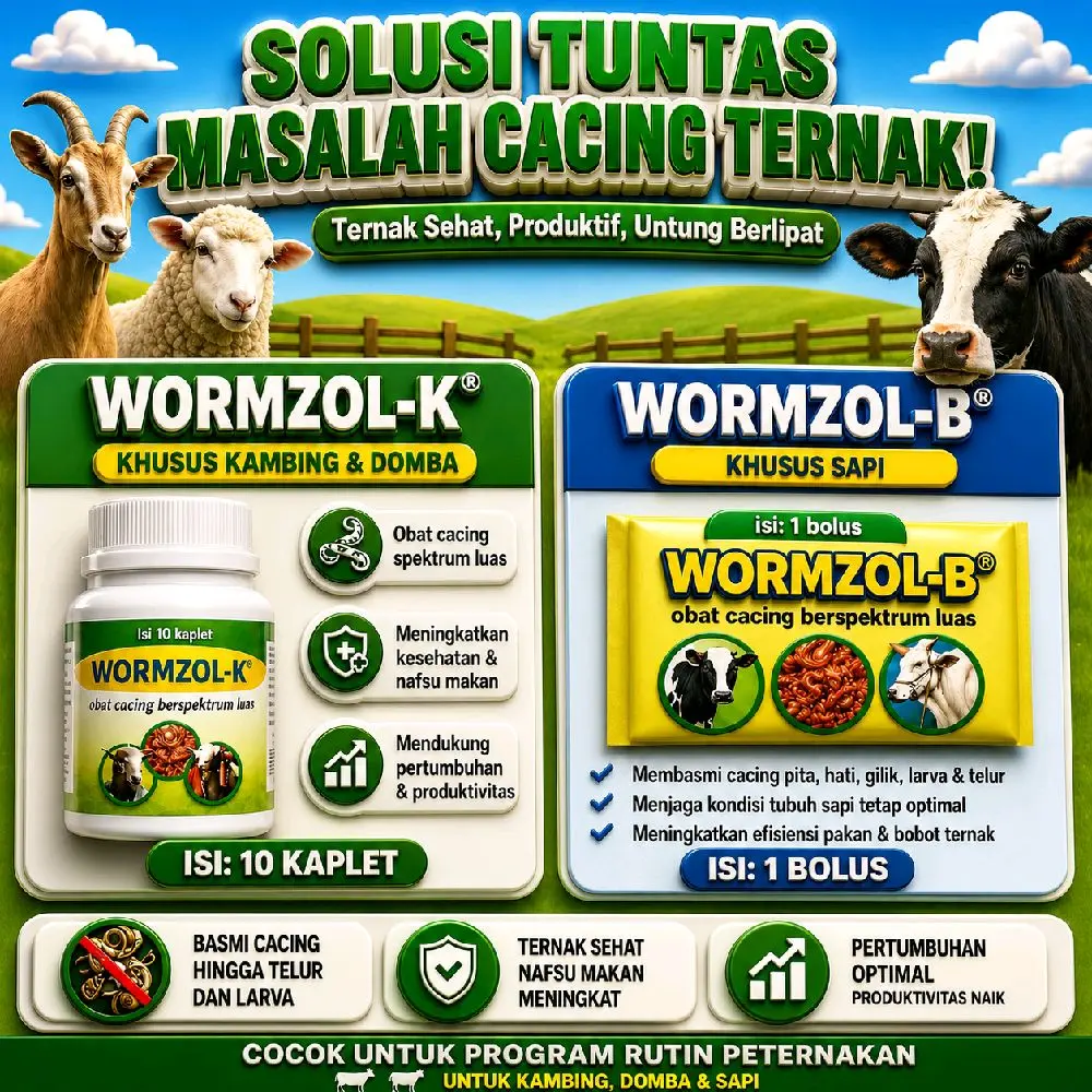 product-image.png