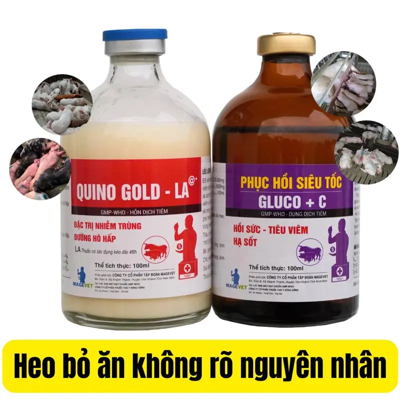 Bộ trị heo bỏ ăn không rõ nguyên nhân QUINO GOLD, TikTok爆款商品分析 - GMV/销量
