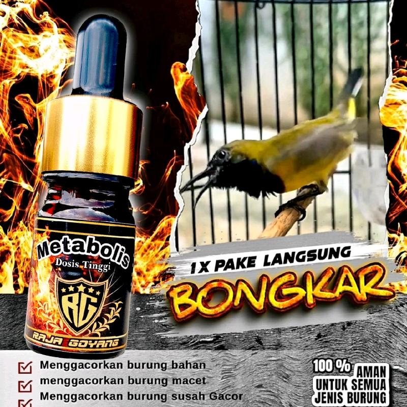 product-image.png